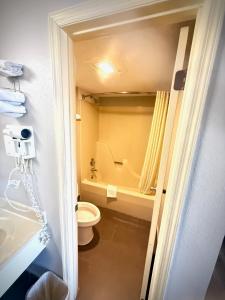 un bagno con wc e vasca da bagno di Econolodge inn ad Athens