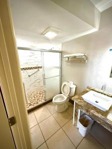 un bagno con doccia, WC e lavandino di Econolodge inn ad Athens