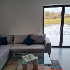 un salon avec un canapé et une table en verre dans l'établissement Ferienwohnung Wiesengrund, Ruhig im Ortsteil von Roth, nähe Rothsee, 25 min Messe Nbg, à Roth