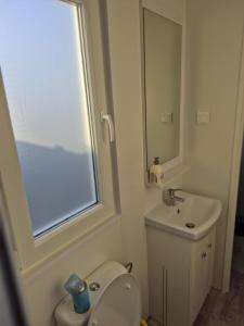 a bathroom with a toilet and a sink and a mirror at Dans le vent in Middelkerke