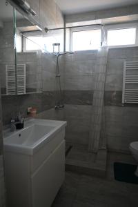 een badkamer met een wastafel en een douche bij Bright and cozy apartment nr. 1 in Chişinău