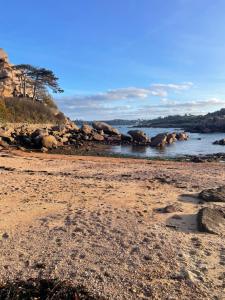 un troupeau d'éléphants marchant dans l'eau dans l'établissement Proximité du port de Perros Guirec, à Perros-Guirec