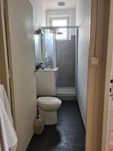 une petite salle de bain avec toilettes et douche dans l'établissement Maison Huitlala, à Lavaufranche