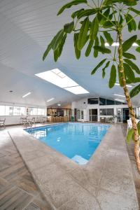 a large pool with a palm tree in a building at Hotel Jaragua in Joaçaba