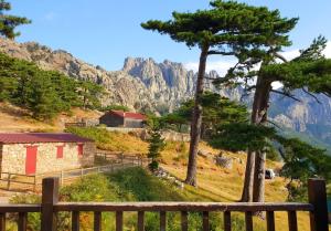 Naturlandskabet i nærheden af lejligheden