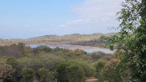 a view of a lake in the middle of a forest at Casa Dique Cabra Corral in Coronel Moldes