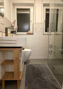 een badkamer met een toilet, een wastafel en een douche bij Atraktives Appartment in Neurenberg