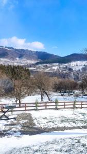 een met sneeuw bedekt veld met een hek en bomen bij Art A Cabin in Teşila
