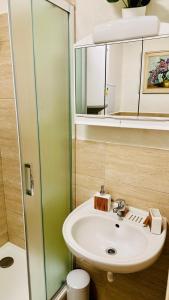 un bagno con lavandino e doccia in vetro di Šumava ski apartment under Zadov 70m2 a Stachy Altre 48 foto