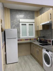 eine Küche mit einem Kühlschrank und einer Waschmaschine in der Unterkunft Miamar in Sevilla