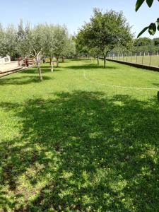 a large grassy field with trees and a fence at La Casa di Ori in Castel SantʼElia
