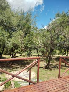 a wooden deck with trees in the background at Zelenaiplava dormis in Merlo
