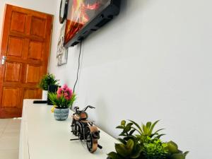 a toy motorcycle sitting on a counter with plants at Travellers paradise in Palatswe