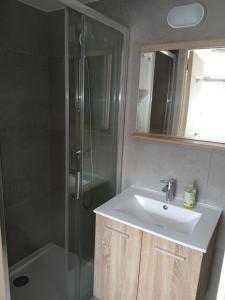 un bagno con lavandino e doccia di Résidences De Champles a Bierges Altre 31 foto