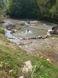 een paar mensen die in een rivier zwemmen bij Riverside Guesthouse in Ig