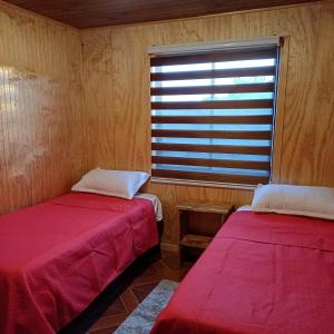 twee bedden in een kamer met een raam bij Refugio las Mariposas Chillán in Chillán +8 foto's
