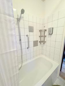 a bathroom with a bath tub with a shower at Beenie 19 in Linz +25 photos