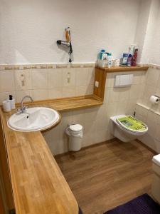 een badkamer met een wastafel en een toilet bij Top location central in Rüsselsheim +12 foto's