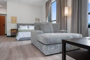 a living room with a couch and a bed at The Library @TheMillRowsSuites in New Glasgow