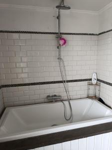 a bath tub with a shower in a bathroom at Lonzee in Gembloux