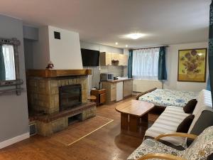 a living room with a couch and a fireplace at Pod Kasztanem in Wisła