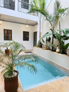 ein Swimmingpool mit Palmen in einem Haus in der Unterkunft Riad Sumud in Marrakesch