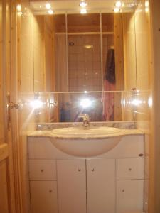 a bathroom with a sink and a mirror at Les Rochettes Pluton 3 in La Roche-en-Ardenne