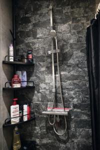 bagno con parete in pietra e doccia di Tomorrowland Luxury Apartment a Boom