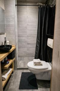 un bagno con wc e doccia di Tomorrowland Luxury Apartment a Boom