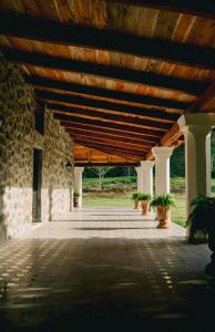 een patio met een houten plafond en potplanten bij Hotel Boutique El Rosario in Teapa