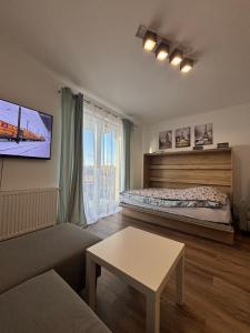 TV/trung tâm giải trí tại AKS 8a Akademicka przy Onkologii