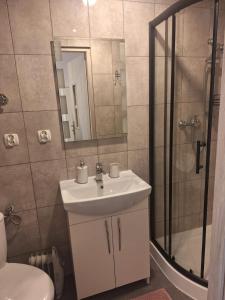 ein Badezimmer mit Waschbecken und Dusche in der Unterkunft Górski Zakątek in Meszna + 31 Fotos