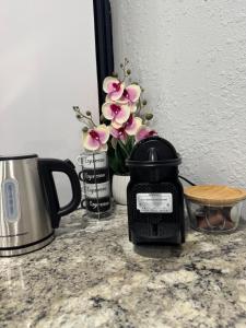 een keukenblad met een koffiezetapparaat, een broodrooster en bloemen bij Private Studio with Patio-King Bed, Near Beach & Casinos in Hollywood
