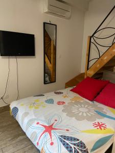 een slaapkamer met een bed en een televisie. bij Le Miribel in Miribel