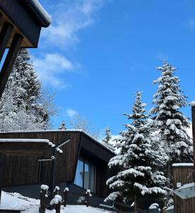 Mandra Morion v zimě