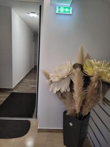 Ảnh trong thư viện ảnh của Beosan ở Železnička Stanica Zemunsko Polje