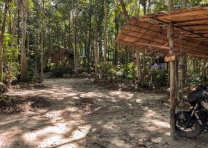 une maison avec un vélo garé dans une forêt dans l'établissement Pyramid Yoga Koh Phangan, à Ko Pha Ngan 34 autres photos