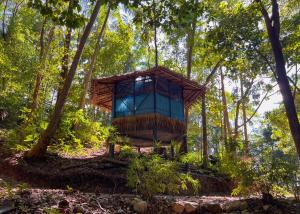une cabane dans les arbres au milieu de la forêt dans l'établissement Pyramid Yoga Koh Phangan, à Ko Pha Ngan