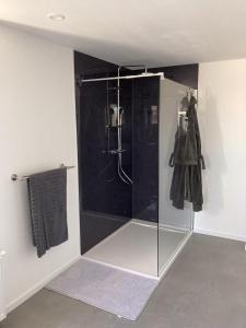 een badkamer met een douche met een glazen deur bij Platzhirsch-bei-der-Purpurbuche in Bad Harzburg +5 foto's