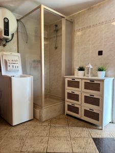 a bathroom with a shower and a washer and dryer at Chata Rychnovanka in Zdobnice