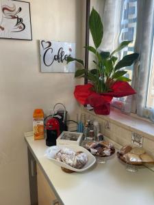 a kitchen counter with some pastries and a plant at Glory House in Mazzarino