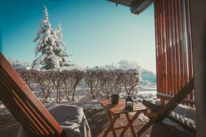 een met sneeuw bedekte veranda met een tafel en een kerstboom bij Harz BnB Werkmeister in Sankt Andreasberg