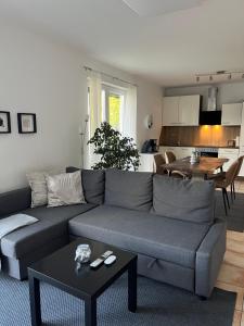 a living room with a gray couch and a kitchen at Ferienwohnung am Kirschenrech in Kusel
