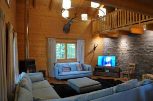 sala de estar con sofás azules y TV en La Grande Ourse, en Durbuy