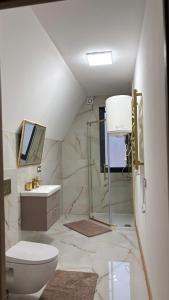a bathroom with a toilet and a sink and a mirror at Torino Resort & Spa in Dragonya