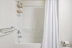 een badkamer met een douche en een wit douchegordijn bij Blueground Central Berkeley rooftop nr UC Berkeley SFO-2124 in Berkeley +16 foto's