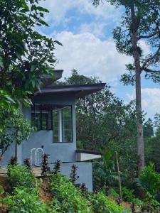 a small house in the middle of the forest at Rainforest cabin in Deniyaya