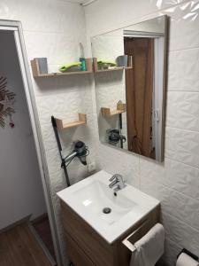 une salle de bains avec un lavabo et un miroir dans l'établissement Charmant T1 au calme, à Cernay