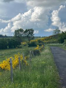 Příroda nedaleko bed and breakfast + 8 fotografií