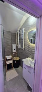a bathroom with a sink and a mirror at Apartman Fantazy spa BDSM in Zemun